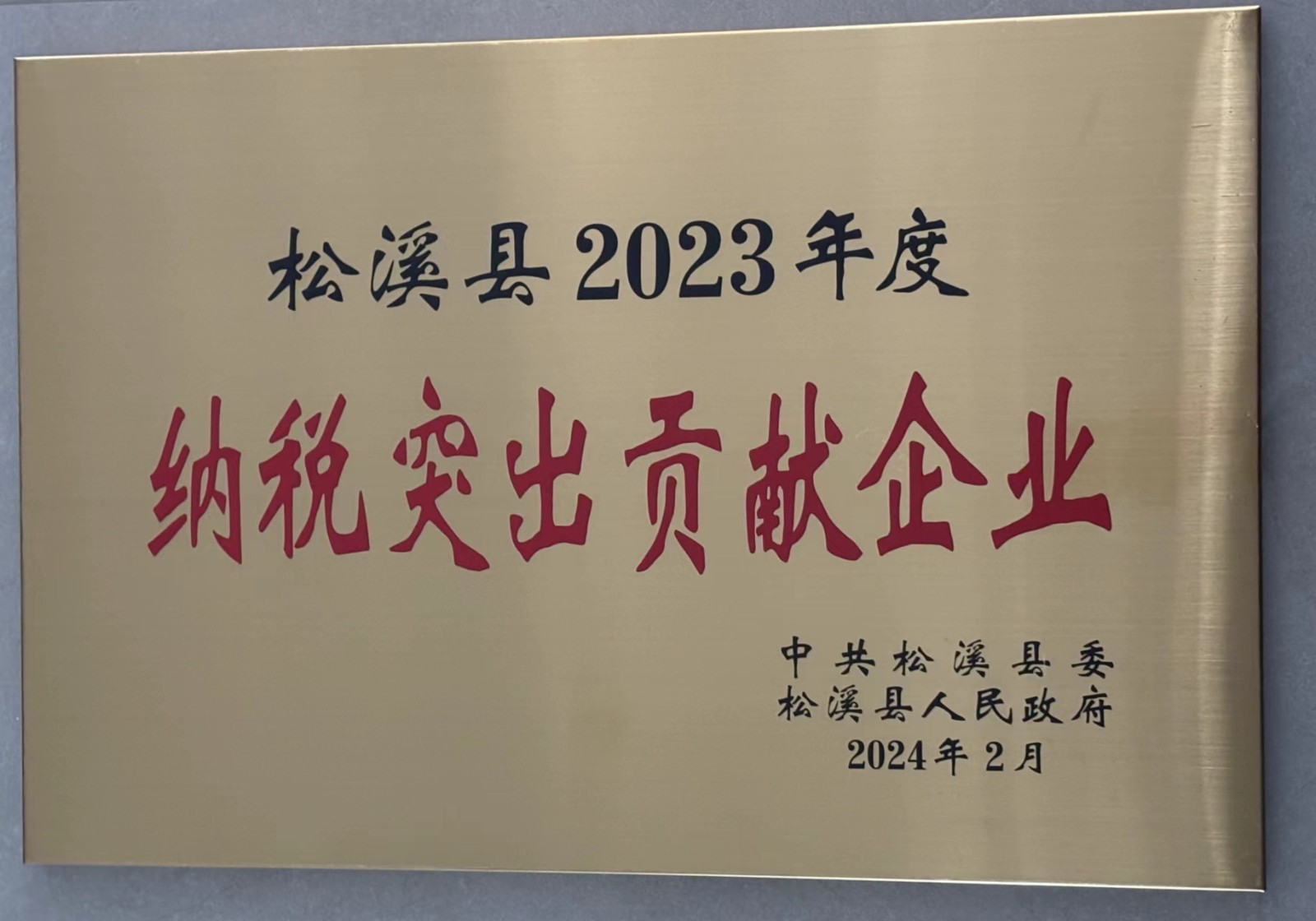 喜報!易順建工集團榮獲“松溪縣2023年度納稅突出貢獻(xiàn)企業(yè)”稱號